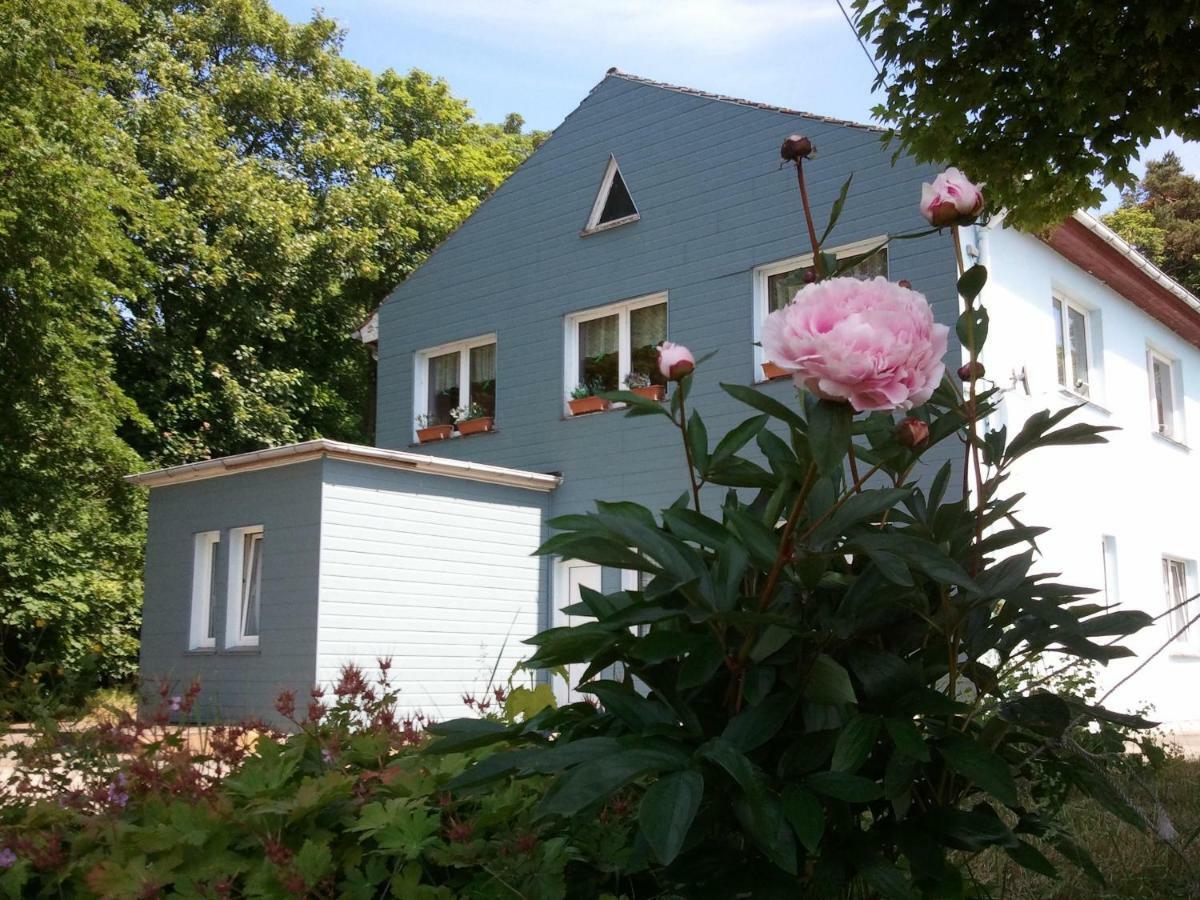 Gasthof Blaues Haus Hotel Bastorf Exterior photo